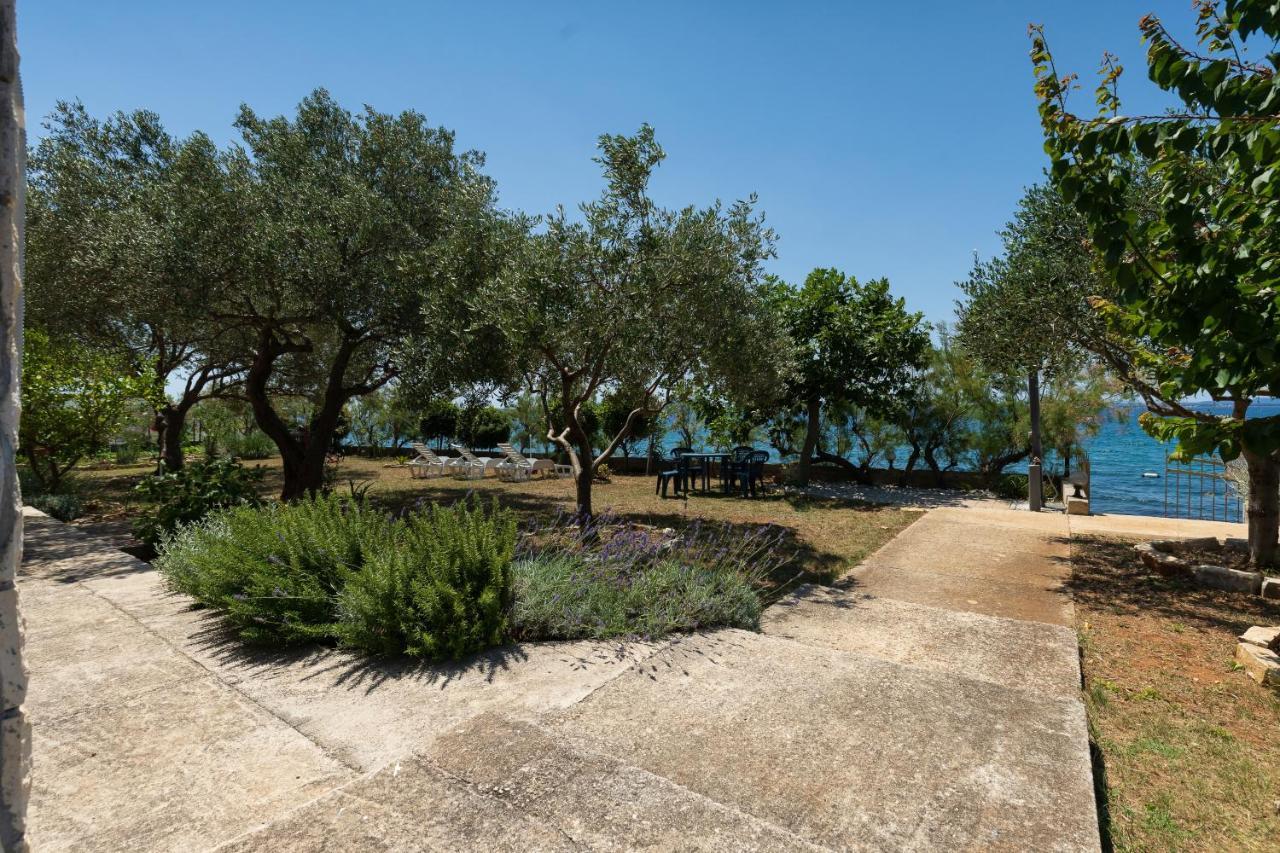 Family Friendly Seaside Apartments Kozino, Zadar - 5756 Petrcane Eksteriør billede